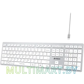 Клавиатура A4Tech Fstyler FBX50C (серебристый/белый) картинка 5